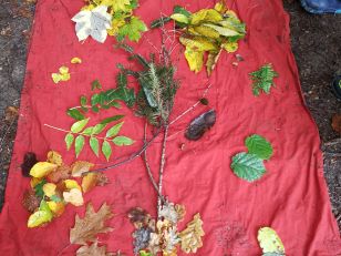 Waldmorgen, 1. Klassen