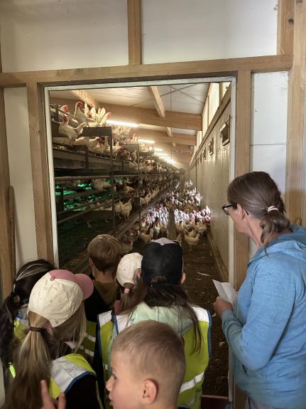 Besuch auf dem Geflügelhof Maienbach