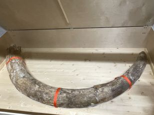 Besuch bei der Kantonsarchäologie Luzern