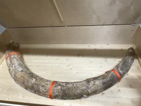 Besuch bei der Kantonsarchäologie Luzern