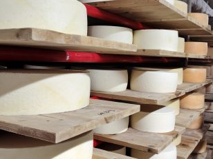 6. Klassen: Ausflug in die Biokäserei Trutigen