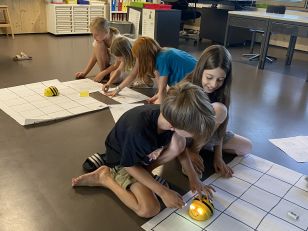 Rätselspass mit dem Beebot