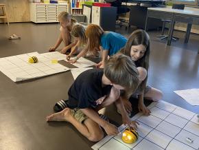 Rätselspass mit dem Beebot