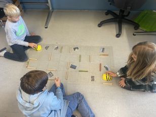 Beebot im Schulunterricht: Ein vielseitiges Lernwerkzeug