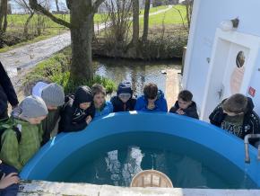 5. Klassen: Ausflug in die Fischerei Hofer