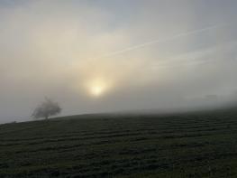 Herbstwanderung 5. / 6. Klassen