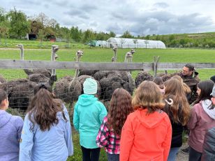 Projektwoche "bekannte und unbekannte Tierwelt in unserer Umgebung" 5./ 6. Klasse
