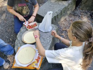 Teamwork stärken im Wald