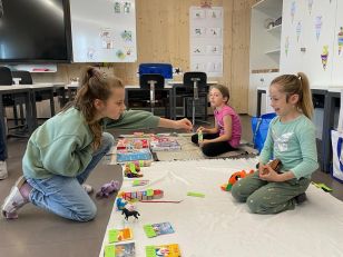 Flohmarkt unter dem Motto: «Mein altes ist dein neues Spielzeug»