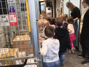 Postbesuch in Sursee