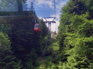 Schulreise der 1. Klässler:innen