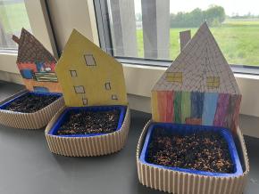 Kresse und Sonnenblumen