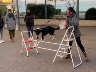 Talents’ Day - Viele verschiedene Auftritte