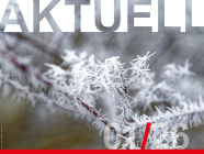 Nottwil Aktuell: Januar 2026